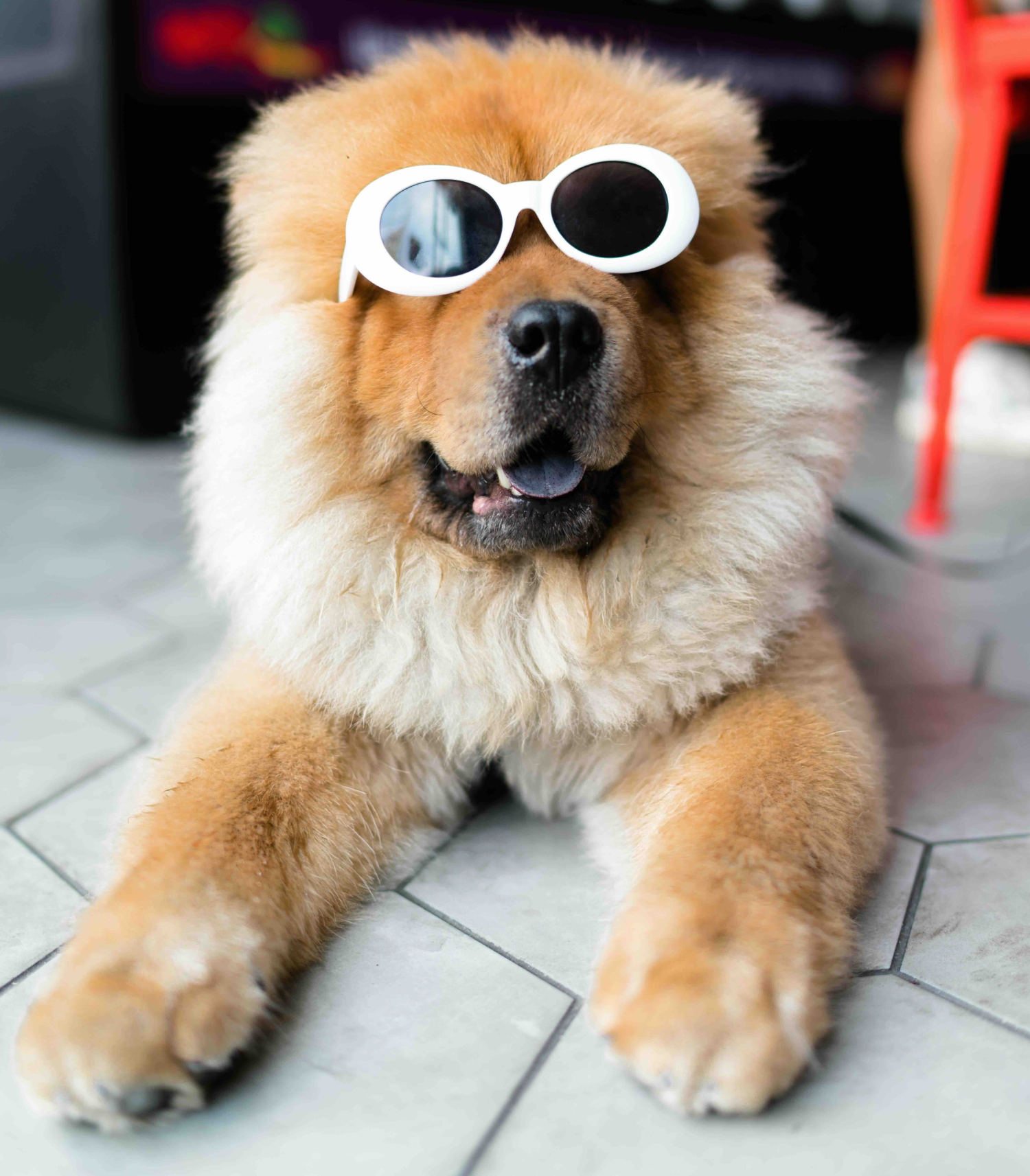 Optimizing E-commerce Customer Service through Technological Advancements