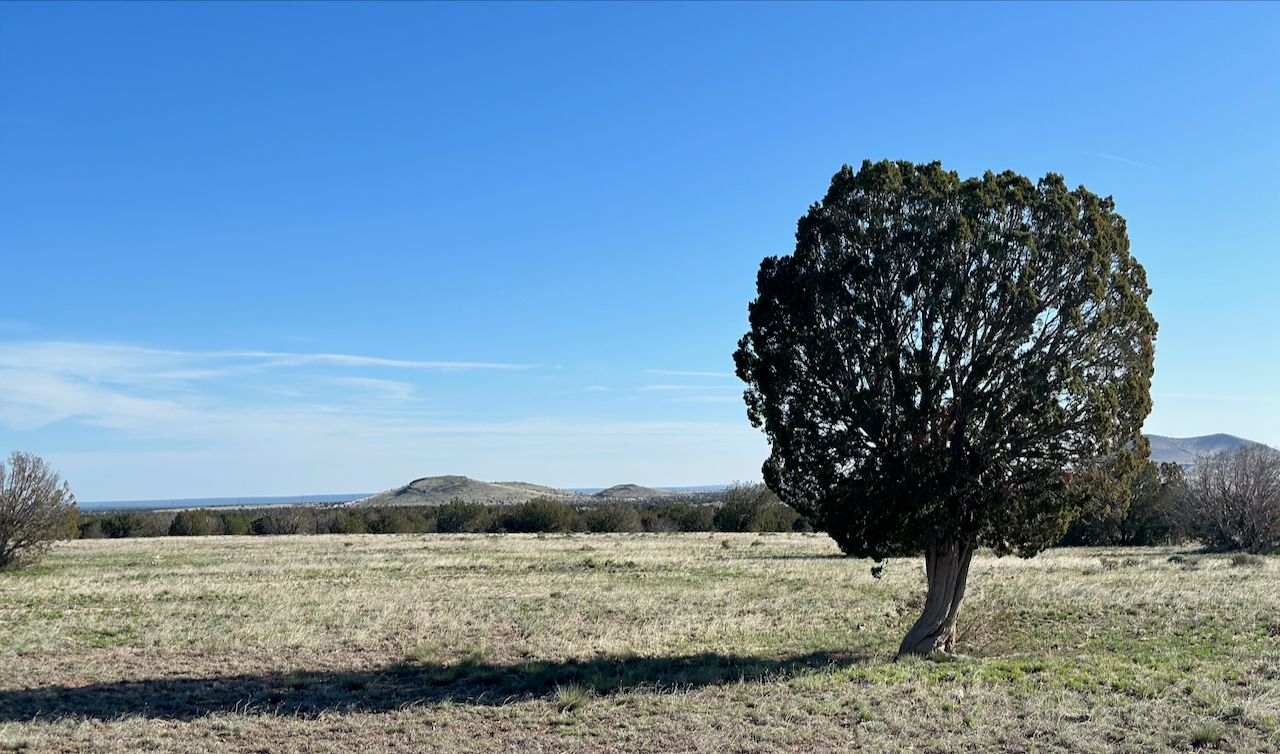 Tailscale For Developers