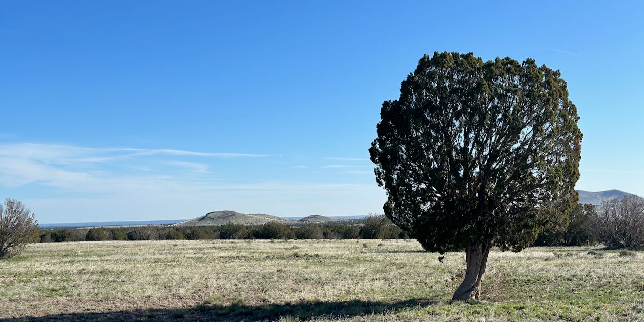 Tailscale For Developers