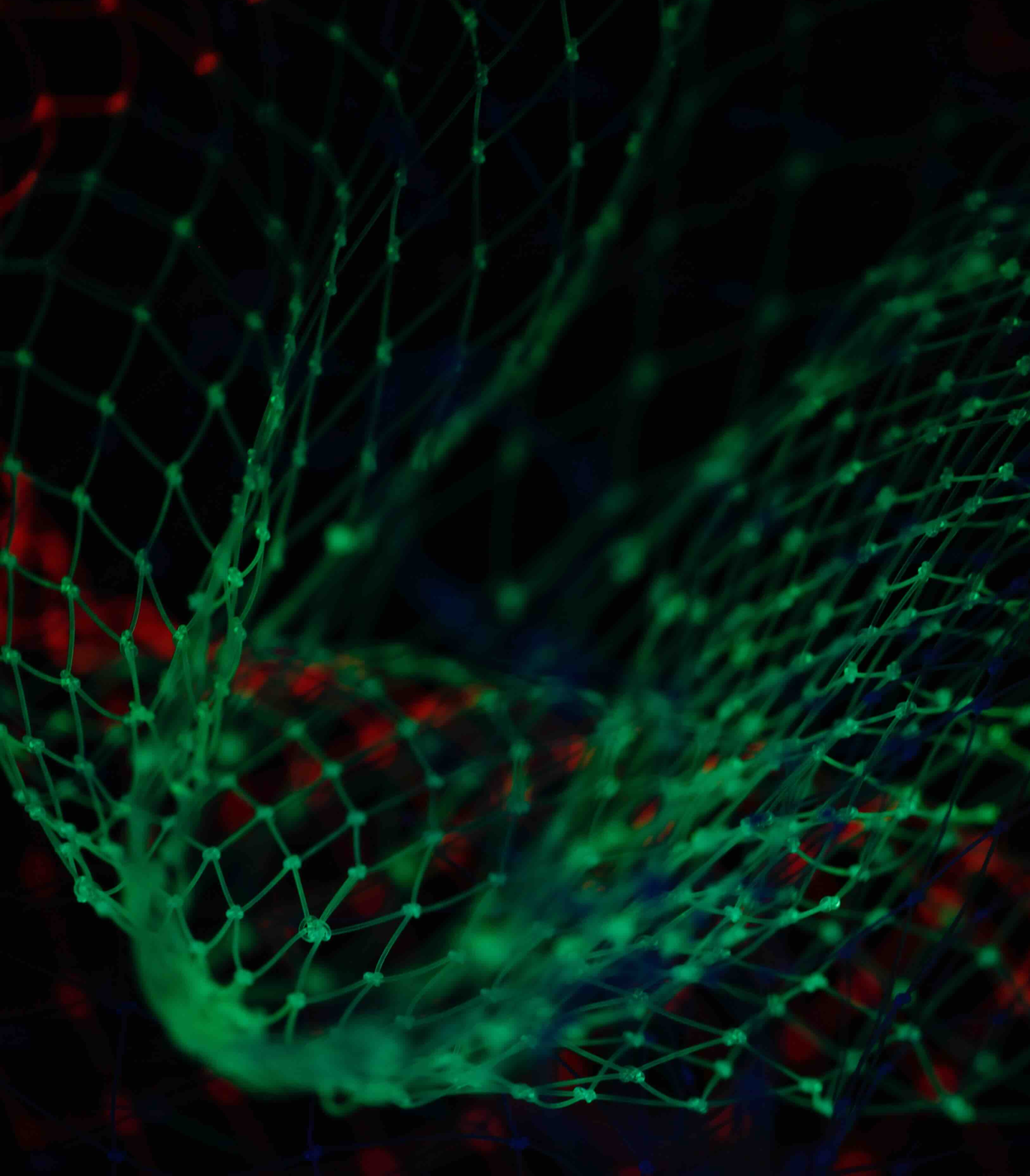 Transforming Legacy Systems through Data Externalization