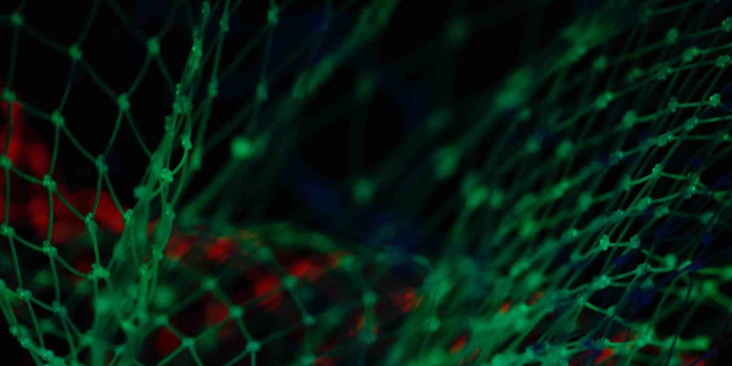 Transforming Legacy Systems through Data Externalization