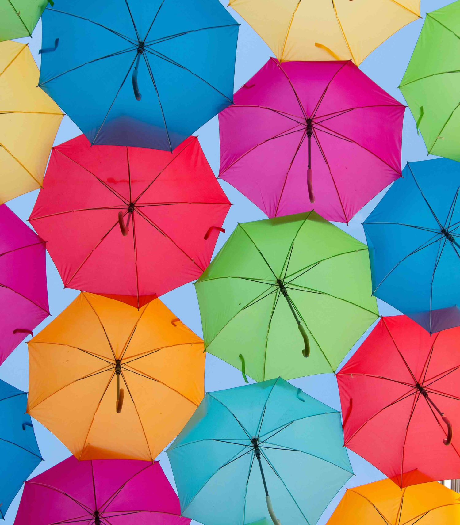 Collaborative Design and Production Deployment of a Medicare, Dental, and Vision Insurance Storefront