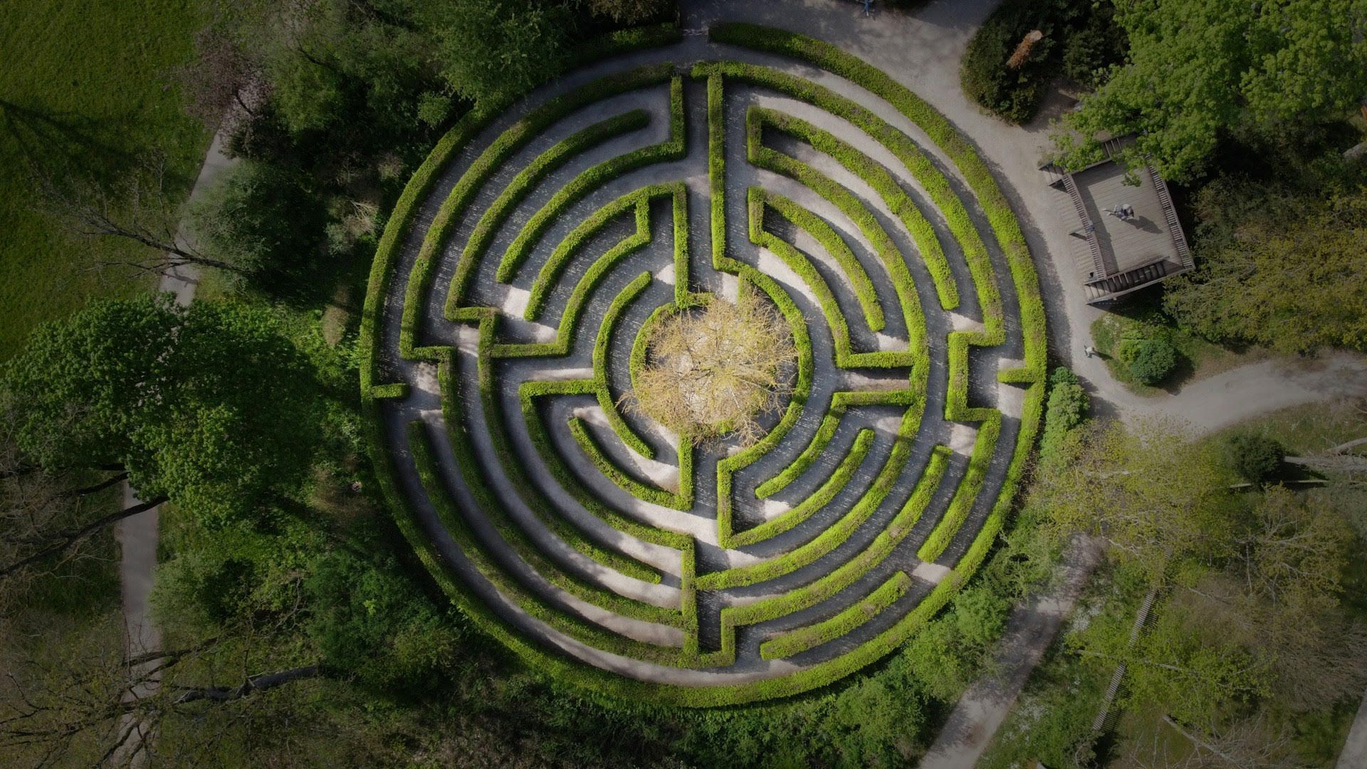 Labyrinth from Above 