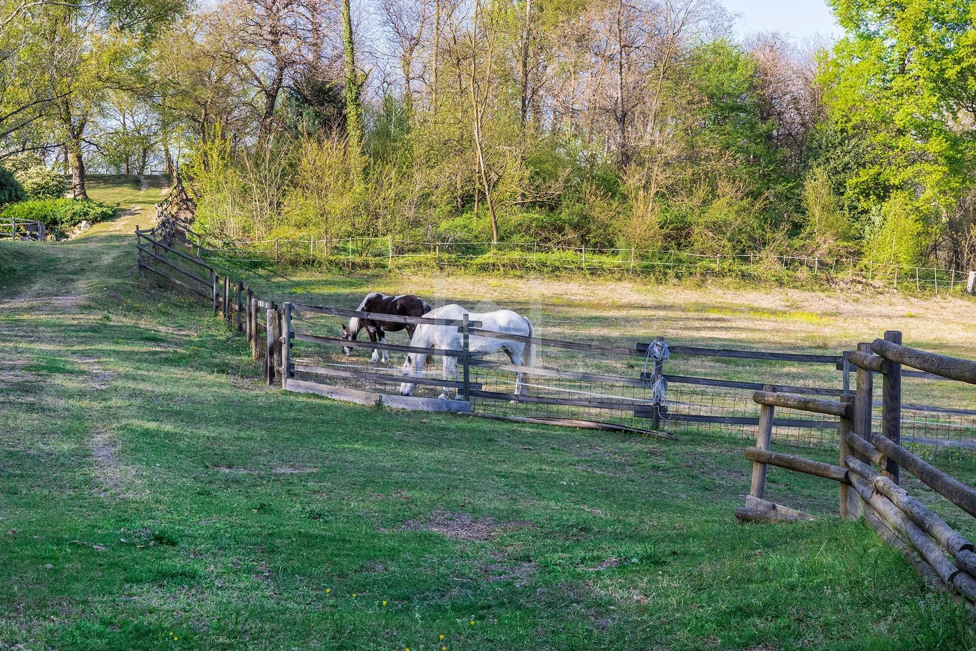 Equestrian villa land 10