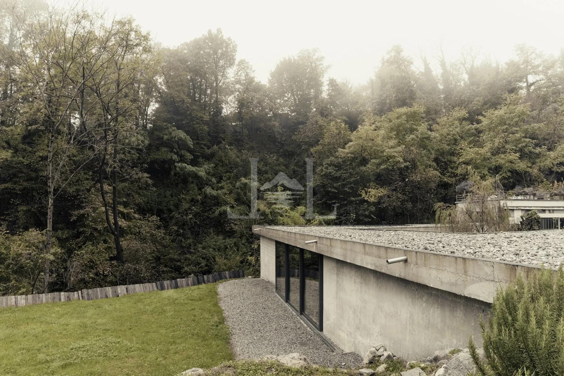 Narrow House 51