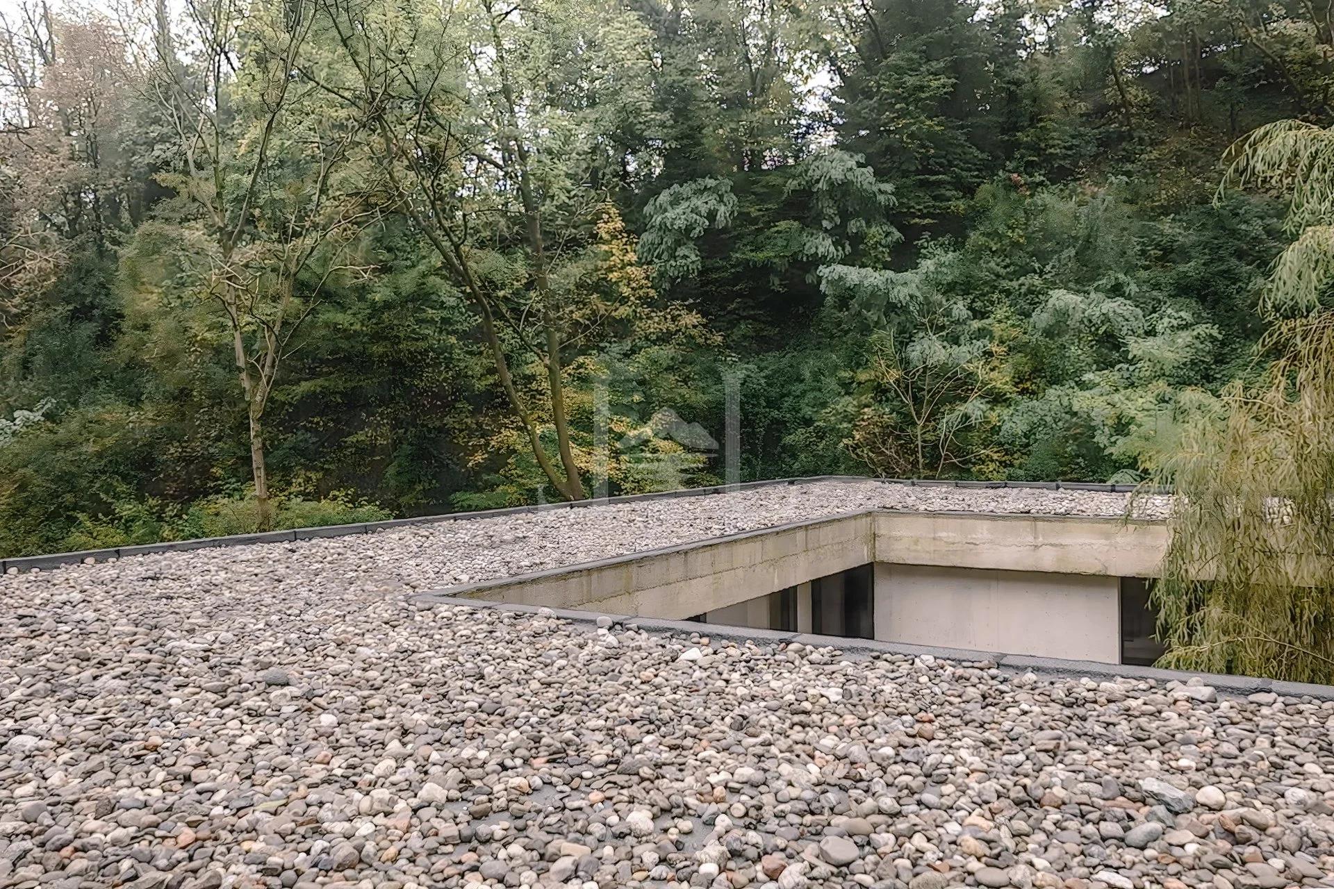Narrow House 10