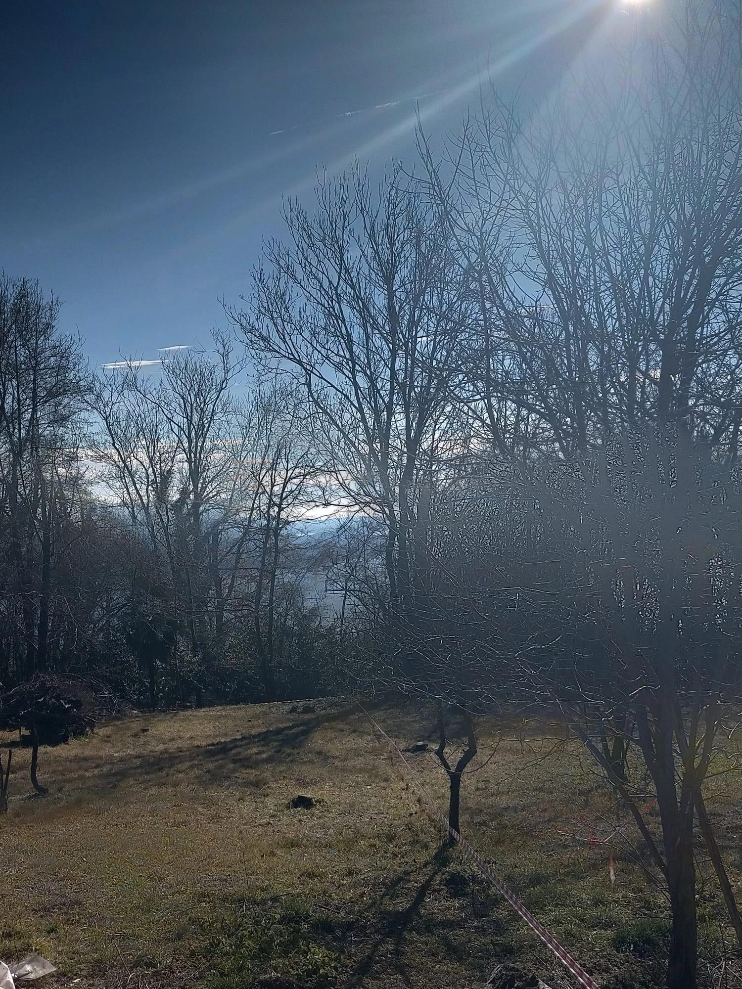 Terreno Edificabile Vista Lago in Vendita ad Arizzano, Verbania, Lago Maggiore