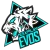 Nexplay Evos Logo
