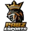 Team PABZ Logo