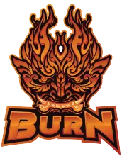  Burn x Team Flash Logo