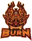 Team BURN Logo