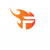 TEAM FLASH Logo
