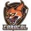 Team CAR Logo