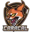 Team CAR Logo