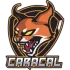 TEAM CARACAL Logo