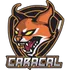 TEAM CARACAL Logo