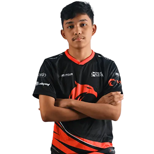 Mobile Legends One Asset