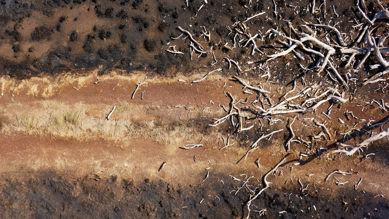 Thumbnail for Unscripted or the Familiar Strange: On Anthropology, Tech Failures and AI curiosities