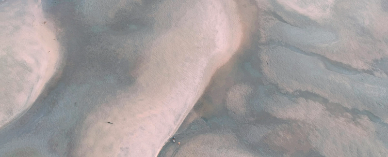 Thumbnail for Africa Now Has a Continental AI Strategy: What Next?