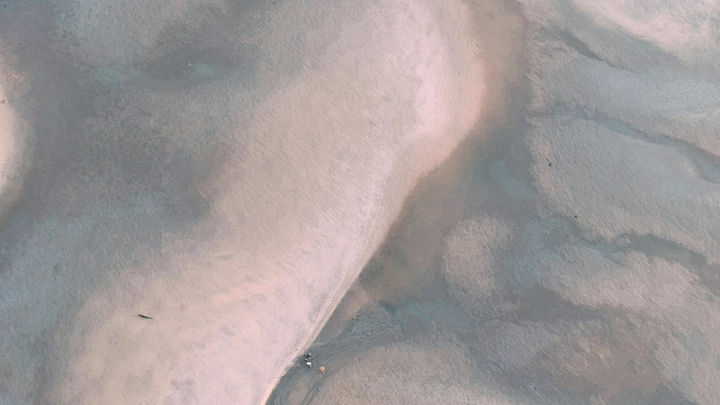 Thumbnail for Africa Now Has a Continental AI Strategy: What Next?