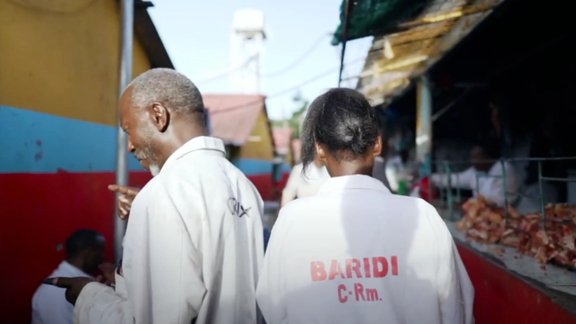 Thumbnail for Baradi