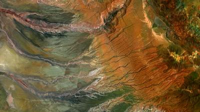 Thumbnail for project Understanding Public Perceptions of AI in South Africa