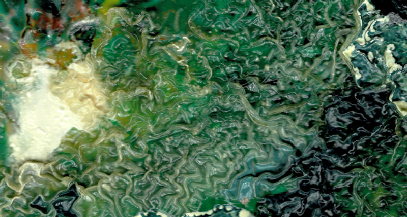 Thumbnail for project AI and Human Rights in Africa Certificate Courses