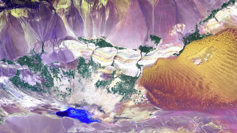 Thumbnail for Gender Equality in AI Governance: Human Rights and AI