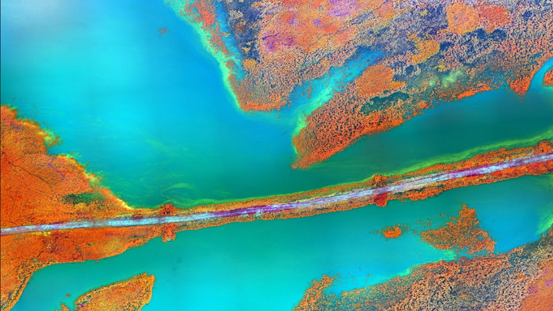 Thumbnail for Cultural and Linguistic Diversity in AI: Human Rights and AI