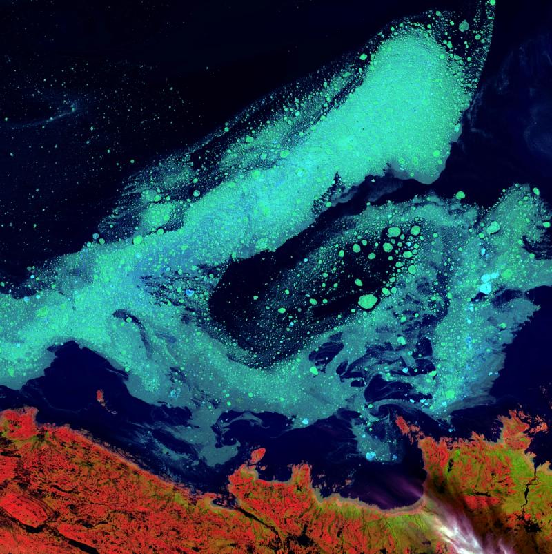 Thumbnail for How Do We Foster Inclusive and Collaborative AI Policy Research?