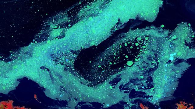 Featured media for project How Do We Foster Inclusive and Collaborative AI Policy Research?