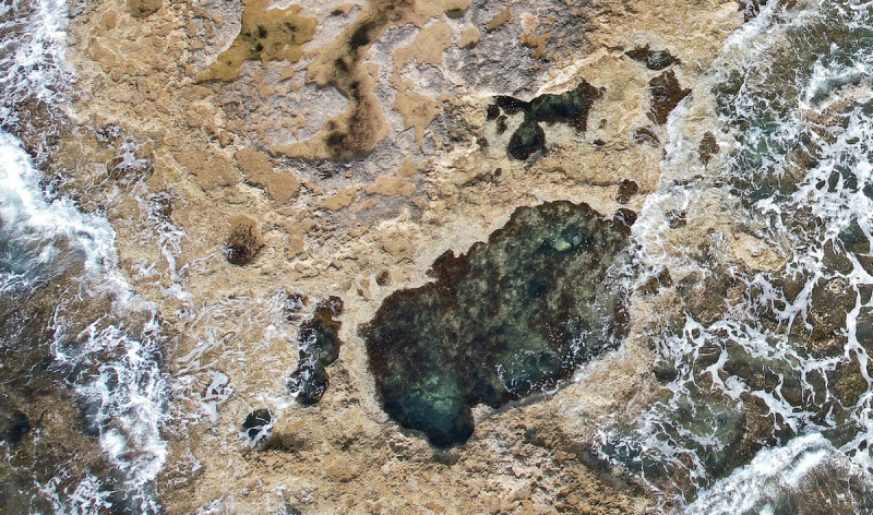 Thumbnail for project Africa-Asia AI Policymaker Network