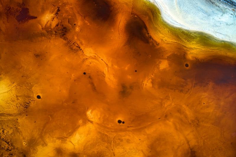 Thumbnail for project Data Protection Training Program and Toolkit