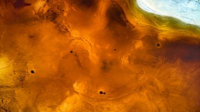 Thumbnail for project Data Protection Training Program and Toolkit