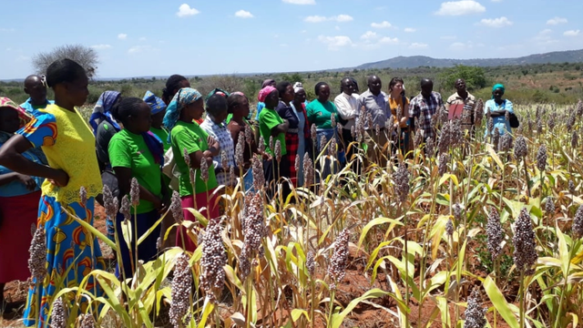 Thumbnail for ITIKI Drought Prediction Tool