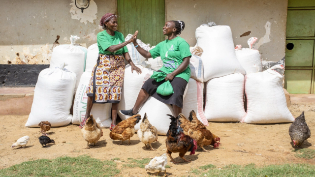 Thumbnail for Apollo Agriculture