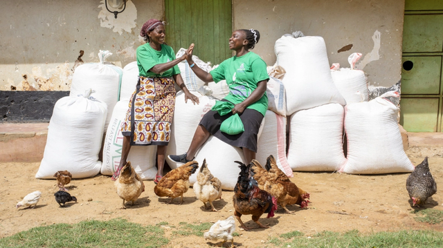 Thumbnail for Apollo Agriculture