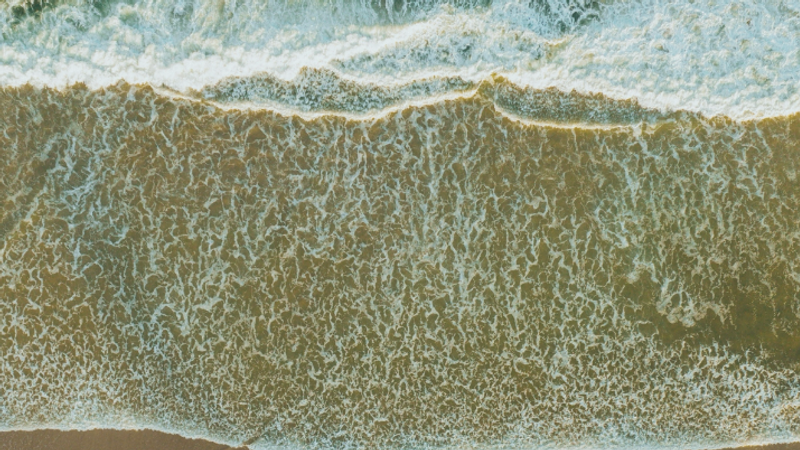 Thumbnail for Implications of Open-Source Large Language Models for Responsible AI Development in Africa