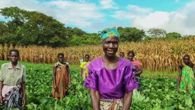 Thumbnail for CropNuts