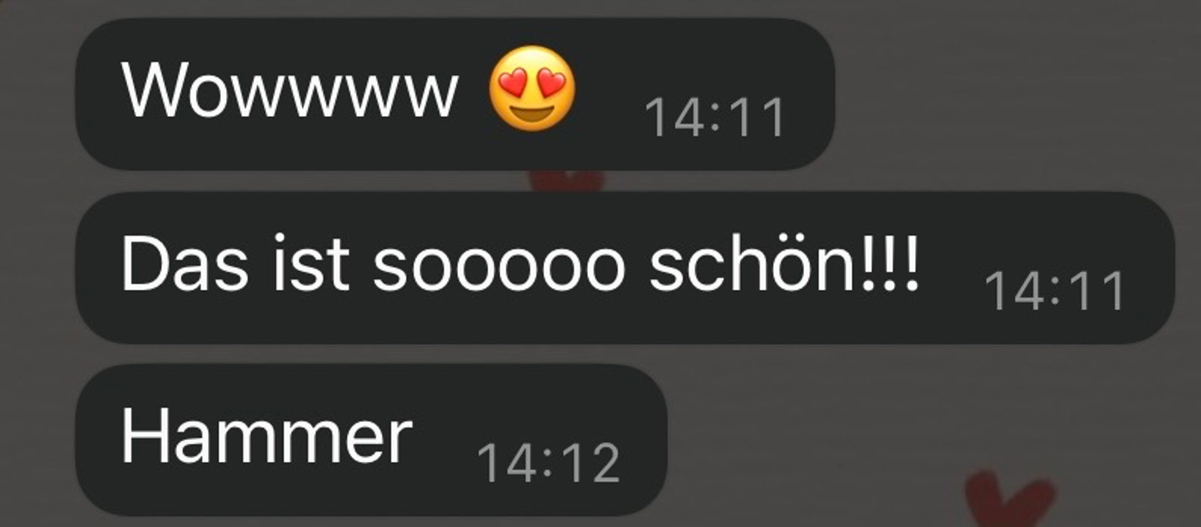 Screenshot einer Nachricht von Kund:innen