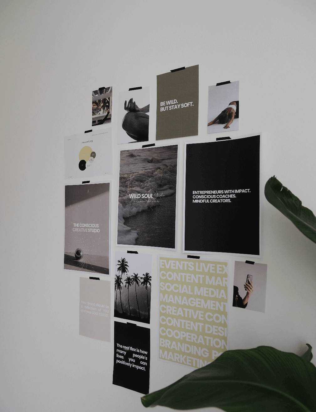Let’s connect. – Wild Soul Studio – Client Projects