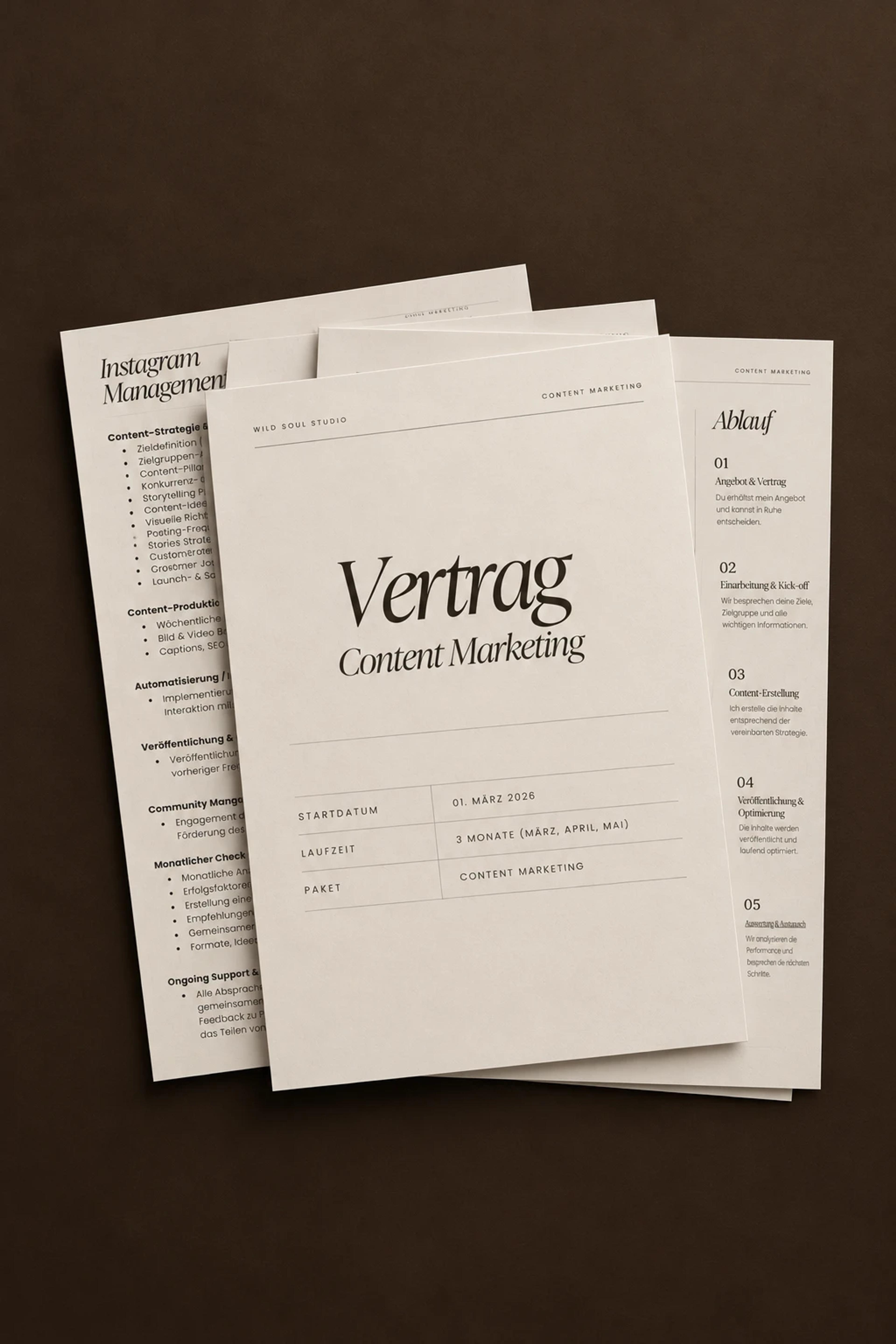 Vertrag „Content Marketing“ von Wild Soul Studio mit Leistungsübersicht und Ablauf