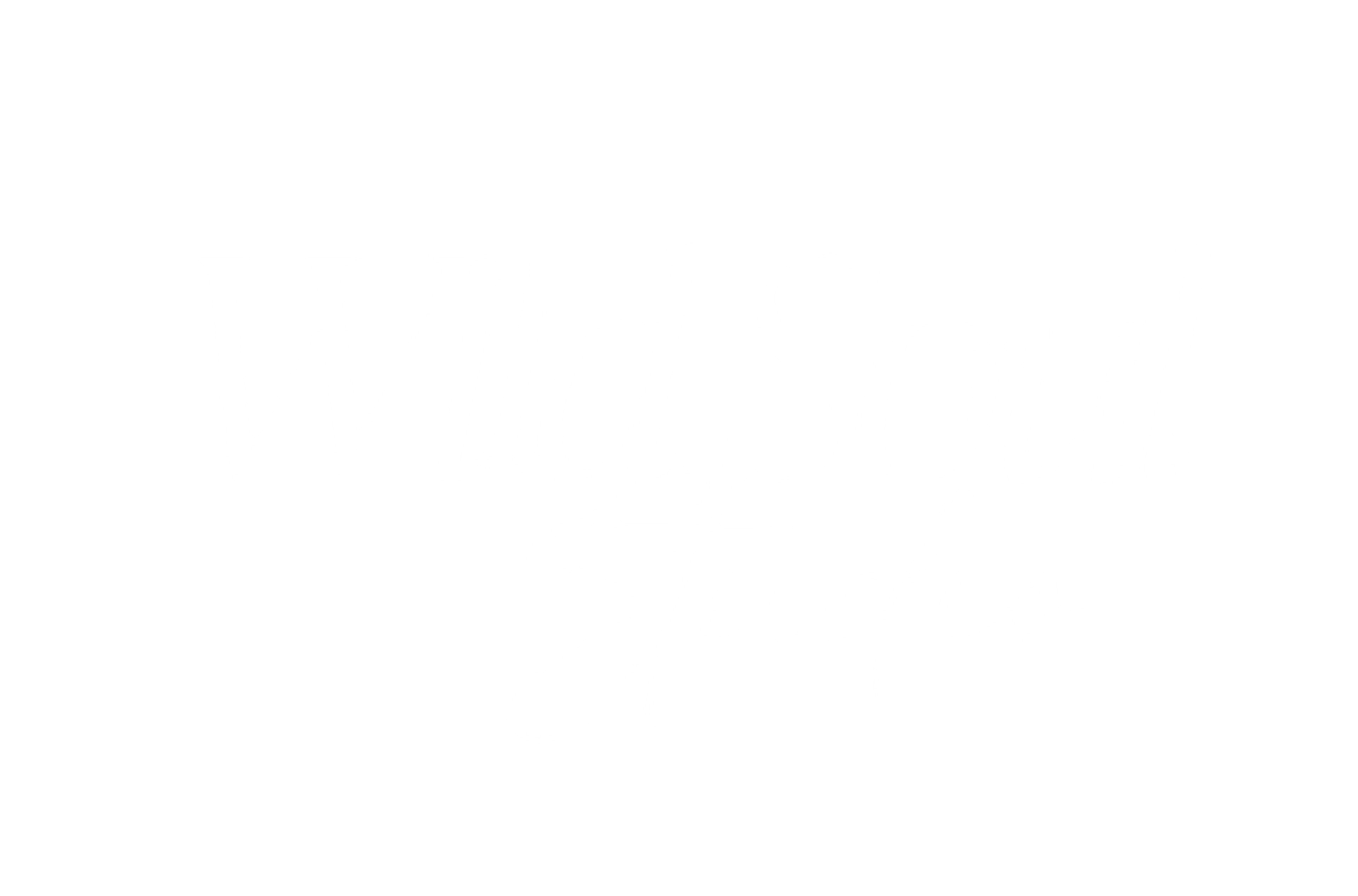 Wild Soul Studio