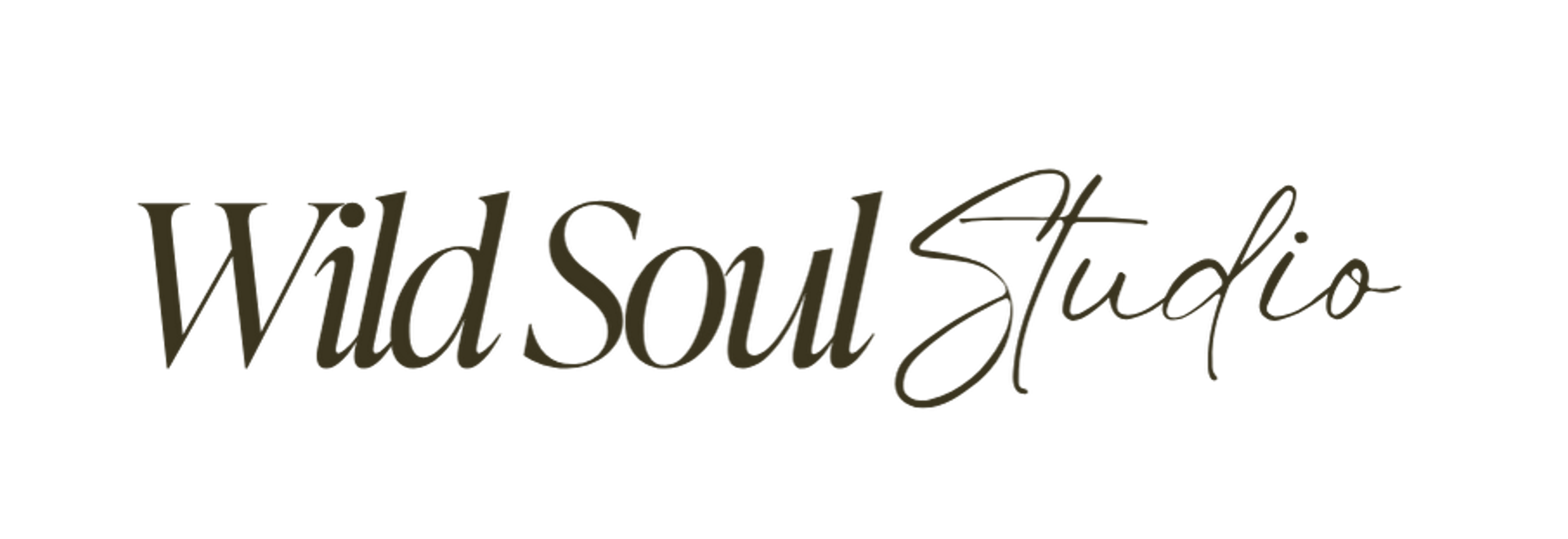 Wild Soul Studio