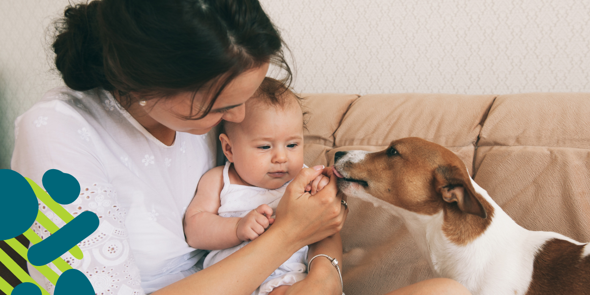 post-placement reports of adopted baby during the home study process