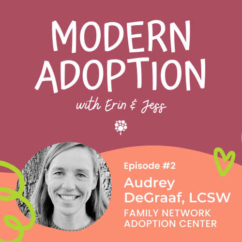 Modern Adoption Episode 2