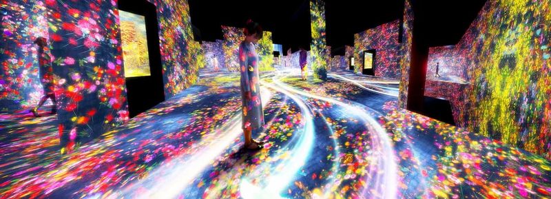 teamLab Borderless Art Exhibition - Tokyo