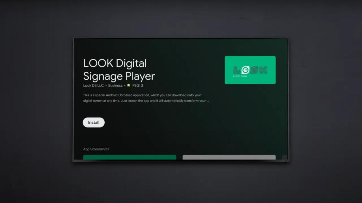 How to Test Look DS Right Now: Quick Video Tutorial