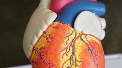 Detectando cirrosis en etapas tempranas