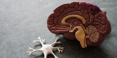 Pancreatitis Aguda: Guías de Manejo 2025